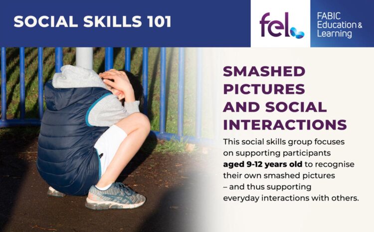 FEL SOCIAL SKILLS SMASHED PICTURES 9 12 years old